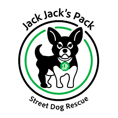Jack Jack's Pack Street Dog Rescue