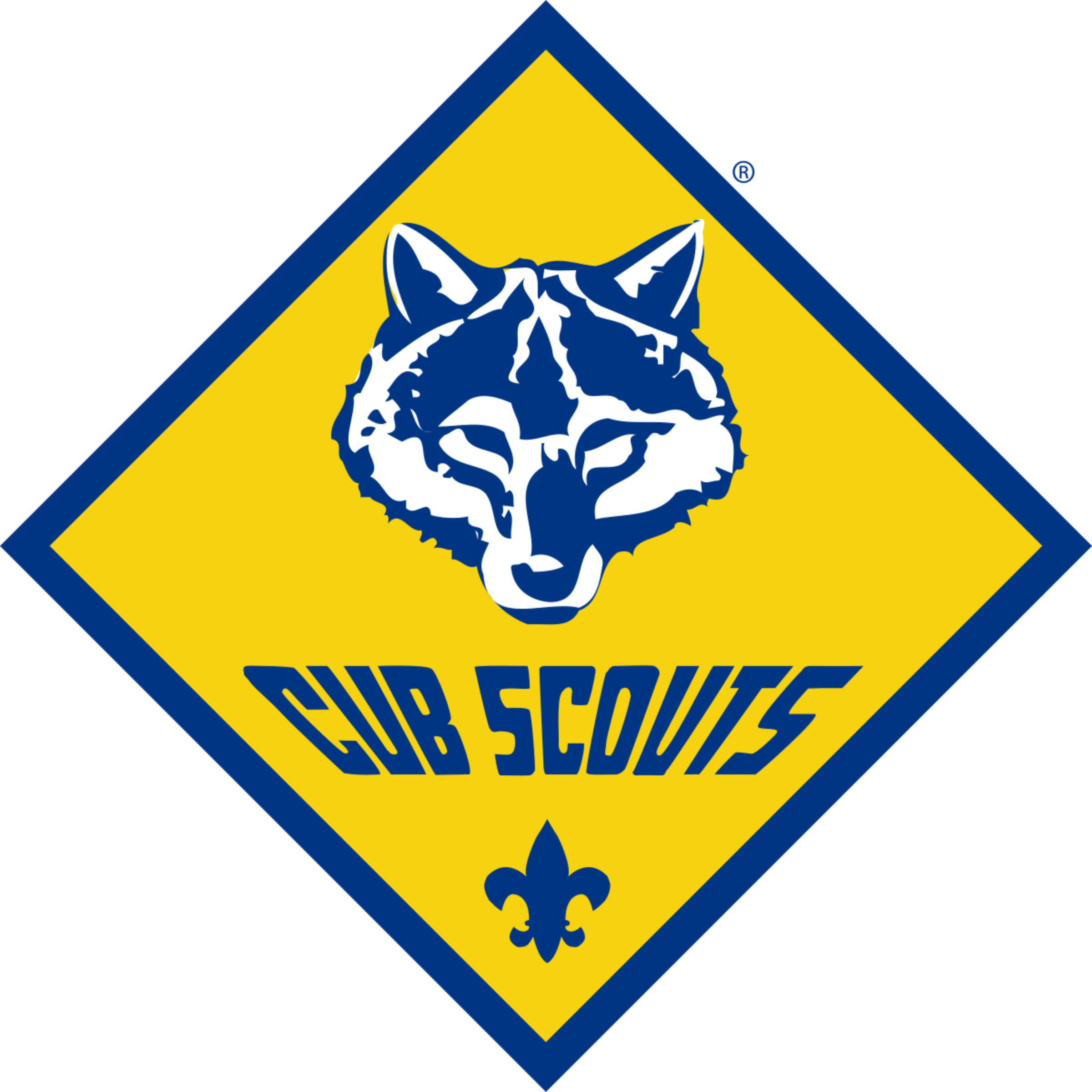Hopewell Cub Scout Pack 8