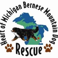 Heart of Michigan Bernese Mountain Dog Rescue