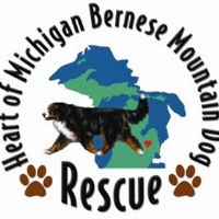 Heart of Michigan Bernese Mountain Dog Rescue