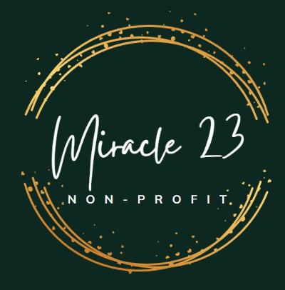 MIRACLE23 INC
