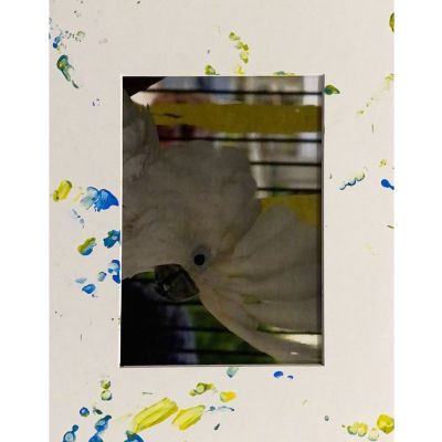 Cockatoo Painting - White Frame item