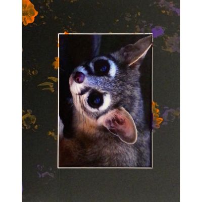 Ringtail Cat Painting - Black Frame item