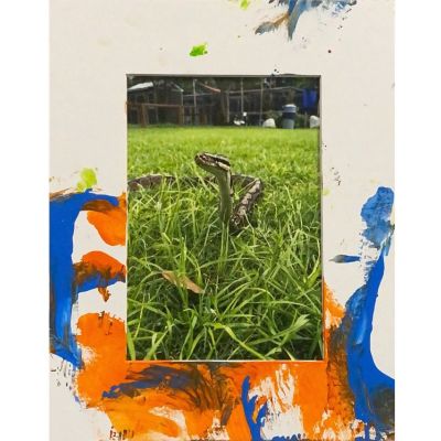 Ball Python Painting - White Frame item