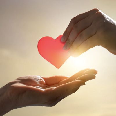 Don ponctuel pour l'organisme item