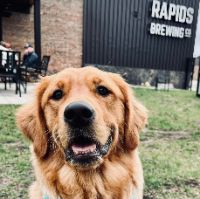 Great Tails Animal Rescue