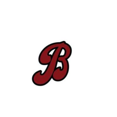 Colorado Batbusters 12U Holt