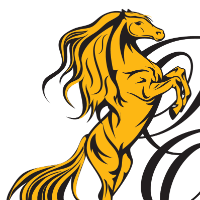 Prancing Ponies Foundation