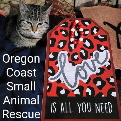 Oregon Coast Small Animal Rescue