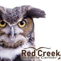 Red Creek Wildlife Center Inc