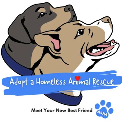 Adopt a Homeless Animal Rescue