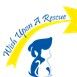 Wish Upon a Rescue