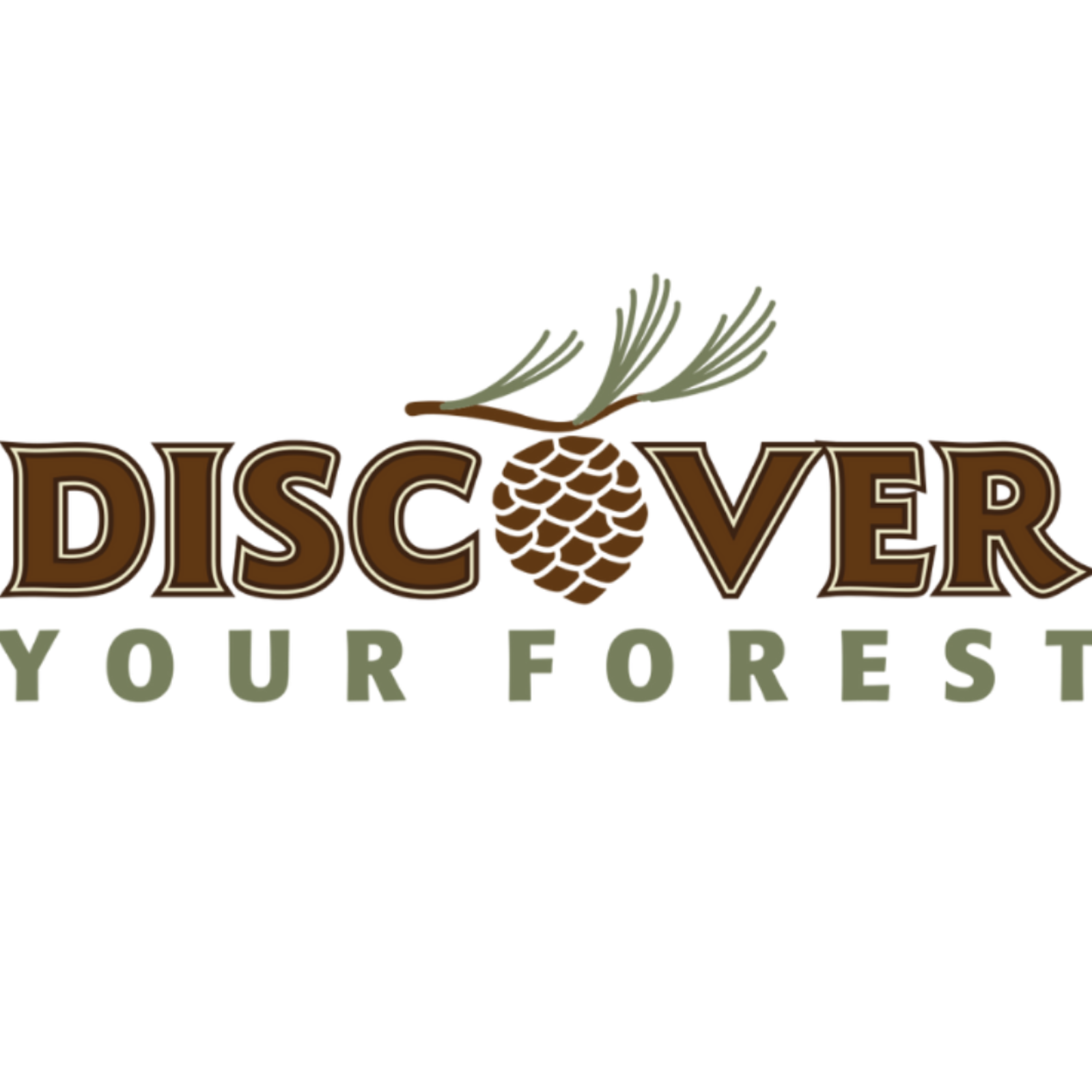 Discover Your Forest