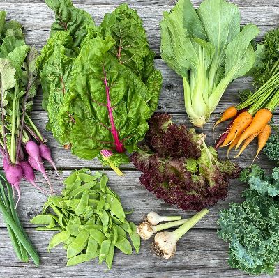 Full Farm Share (Weekly Bag) FULL SEASON Payment item