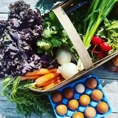 Full Farm Share (Weekly Bag) MONTHLY Payment item