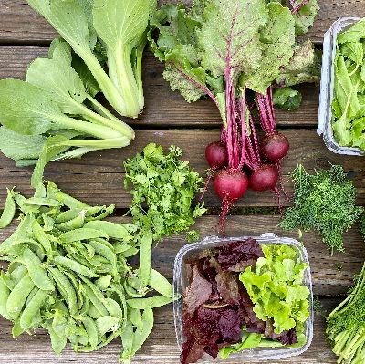 Half Farm Share (Bi-weekly Bag) FULL SEASON payment item