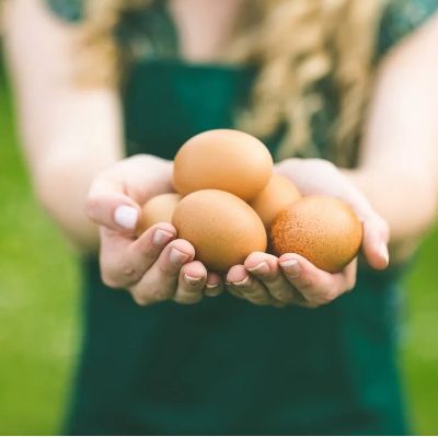 WEEKLY eggs (1 dozen) FULL SEASON payment item