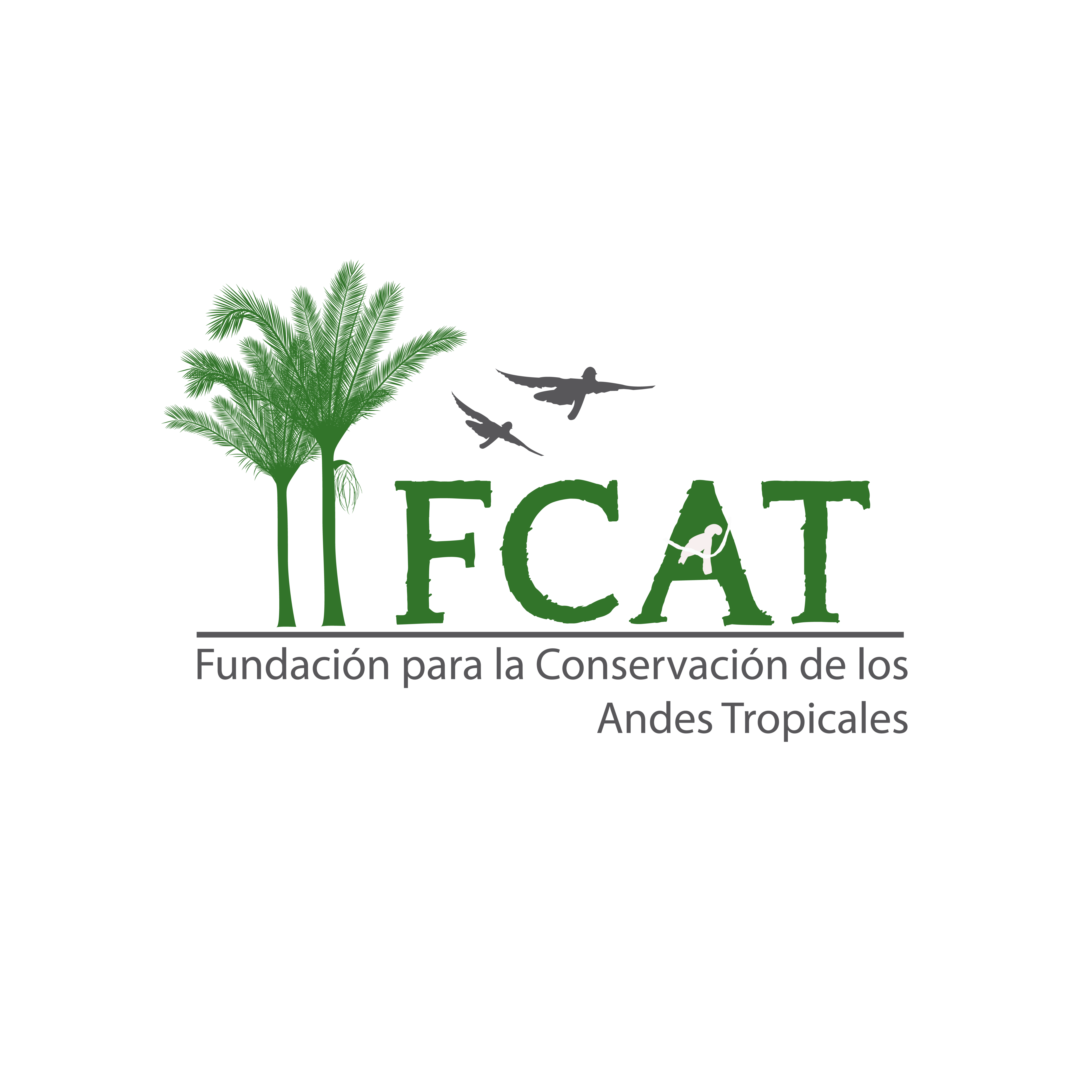 Foundation for the Conservation of the Tropical Andes Inc.