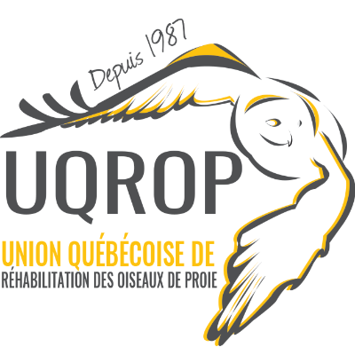 Union québécoise de réhabilitation des oiseaux de proie