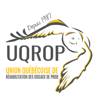 Union québécoise de réhabilitation des oiseaux de proie