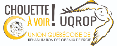 Union québécoise de réhabilitation des oiseaux de proie