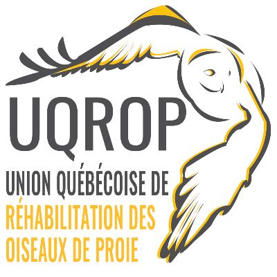 Union québécoise de réhabilitation des oiseaux de proie