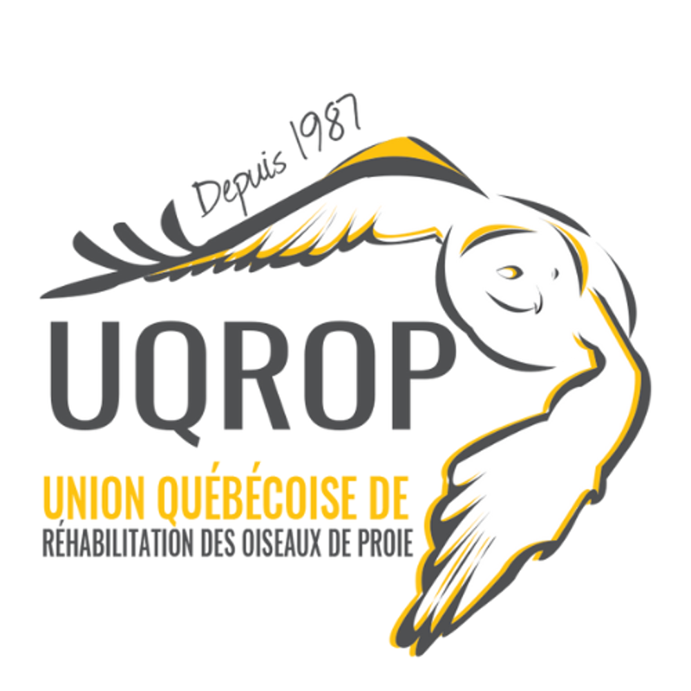Union québécoise de réhabilitation des oiseaux de proie