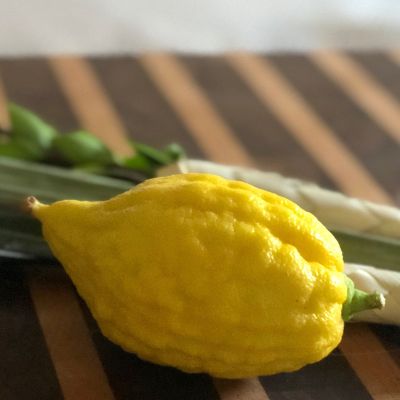 Israeli Regular item