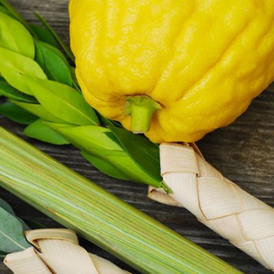 Israeli Chinuch item