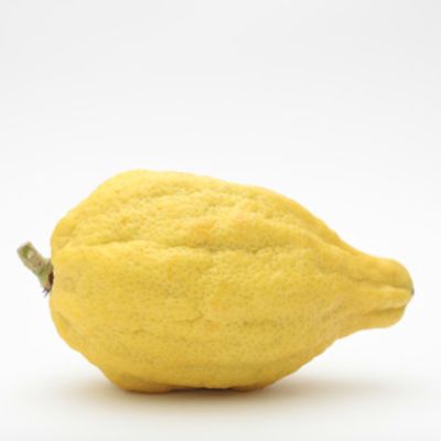 Help A Family in Need Purchase an Israeli Regular Set item