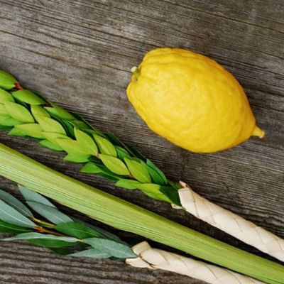 Israeli Mehudor item