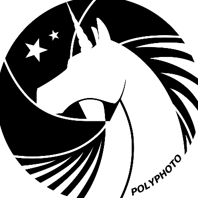 AEP - Interne - PolyPhoto