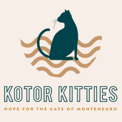 Kotor Kitties