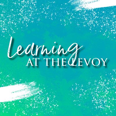 Levoy Arts & Education Center