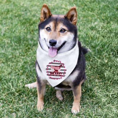 MVC Valentine Bandana item