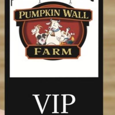 VIP 2025/2026 Tour Pass item