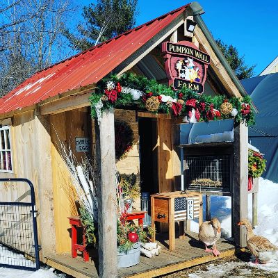 Pumpkin Wall Farm LLC