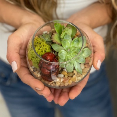 4:40pm Succulent Terrarium Workshop item
