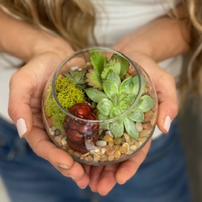 4:15pm Succulent Terrarium Workshop item