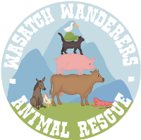 Wasatch Wanderers Animal Rescue