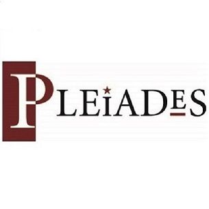 The Pleiade Theatre Inc.