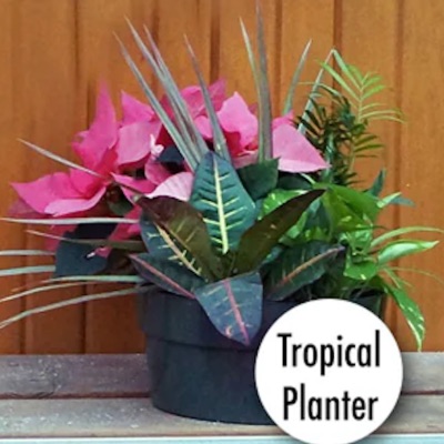 10" Tropical Planter item
