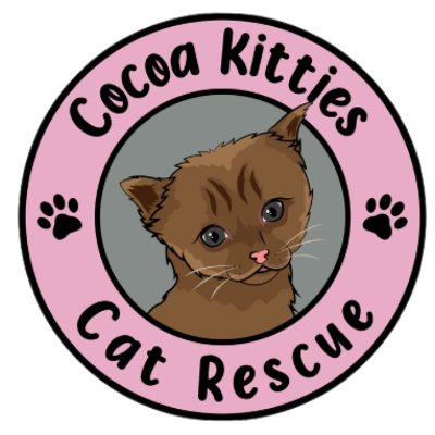 Cocoa Kitties
