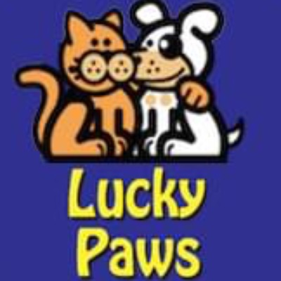 lucky paws rescue friends