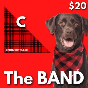 "The BAND" Plaid Flannel Pet Bandanas - Option C item
