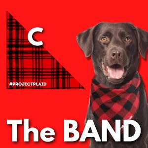 "The BAND" Flannel Pet Bandanas - Option C item