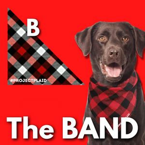 "The BAND" Flannel Pet Bandanas - Option B item