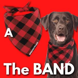 "The BAND" - Flannel Pet Bandanas - Option A item