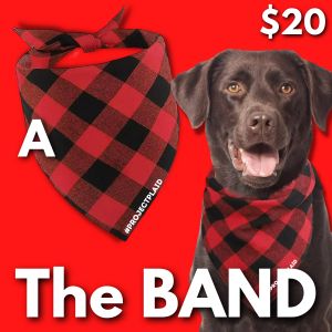 "The BAND" - Plaid Flannel Pet Bandanas - Option A item