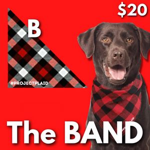 "The BAND" Plaid Flannel Pet Bandanas - Option B item